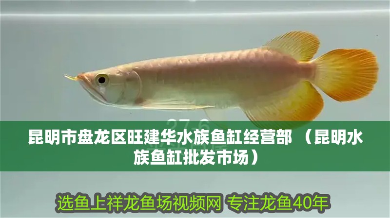 昆明市盤龍區旺建華水族魚缸經營部 （昆明水族魚缸批發市場）