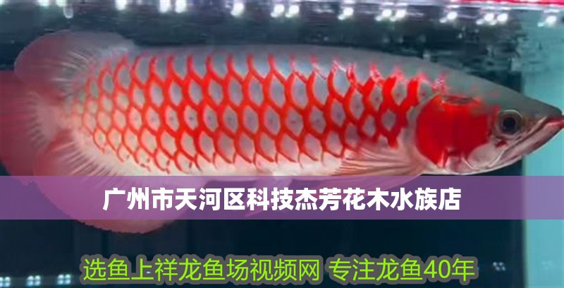 廣州市天河區科技杰芳花木水族店