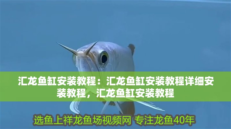 匯龍魚缸安裝教程：匯龍魚缸安裝教程詳細安裝教程，匯龍魚缸安裝教程