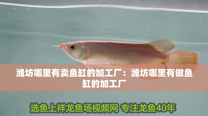 濰坊哪里有賣(mài)魚(yú)缸的加工廠：濰坊哪里有做魚(yú)缸的加工廠