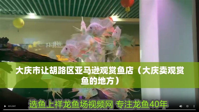 大慶市讓胡路區亞馬遜觀賞魚店（大慶賣觀賞魚的地方）
