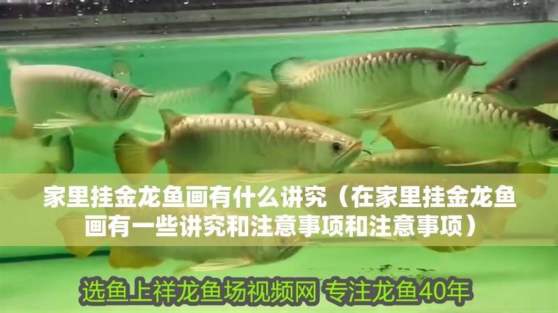 家里掛金龍魚畫有什么講究（在家里掛金龍魚畫有一些講究和注意事項和注意事項）