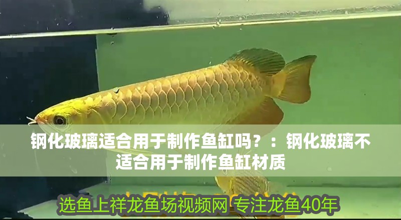 鋼化玻璃適合用于制作魚缸嗎？：鋼化玻璃不適合用于制作魚缸材質