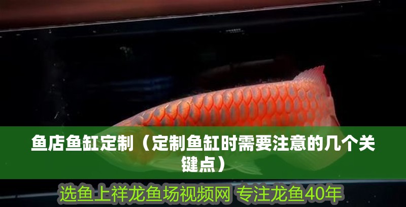 魚店魚缸定制（定制魚缸時需要注意的幾個關鍵點）