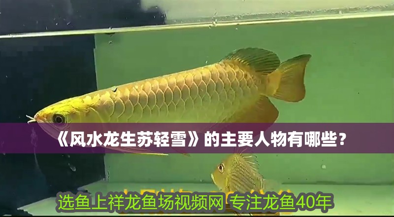 《風水龍生蘇輕雪》的主要人物有哪些？