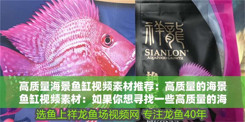 高質量海景魚缸視頻素材推薦：高質量的海景魚缸視頻素材：如果你想尋找一些高質量的海景魚缸視頻素材