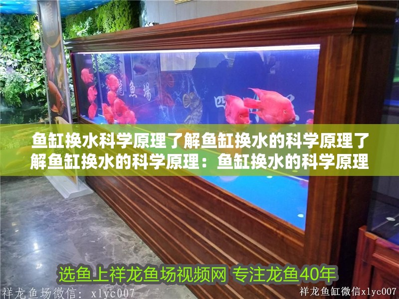 魚缸換水科學原理了解魚缸換水的科學原理了解魚缸換水的科學原理：魚缸換水的科學原理