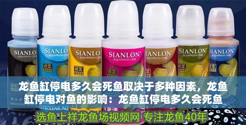 龍魚缸停電多久會死魚取決于多種因素，龍魚缸停電對魚的影響：龍魚缸停電多久會死魚