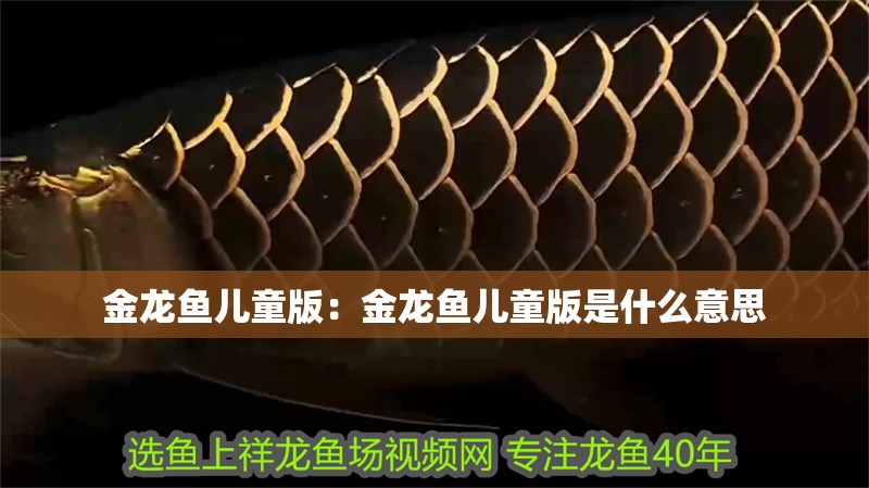 金龍魚兒童版：金龍魚兒童版是什么意思