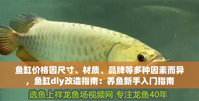 魚缸價格因尺寸、材質、品牌等多種因素而異，魚缸diy改造指南：養魚新手入門指南
