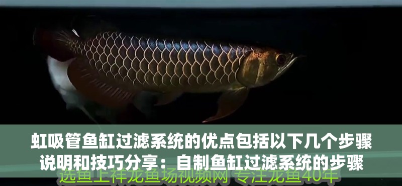 虹吸管魚缸過濾系統的優點包括以下幾個步驟說明和技巧分享：自制魚缸過濾系統的步驟