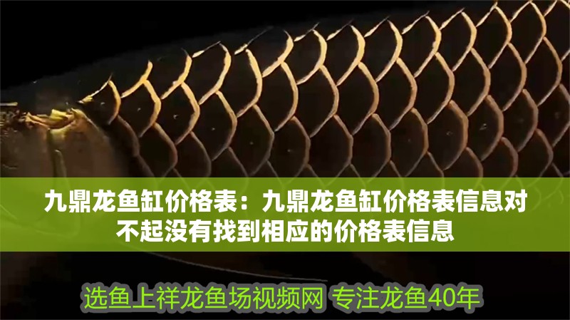 九鼎龍魚缸價格表：九鼎龍魚缸價格表信息對不起沒有找到相應的價格表信息