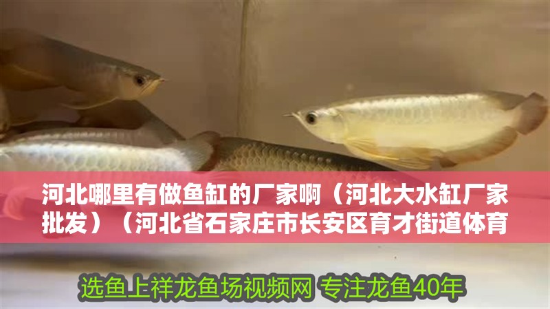 河北哪里有做魚缸的廠家啊（河北大水缸廠家批發）（河北省石家莊市長安區育才街道體育南大街小金魚店鋪） 河北哪里有做魚缸的廠家啊（河北大水缸廠家批發）（河北省石家莊市長安區育才街道體育南大街小金魚店鋪） 魚缸百科