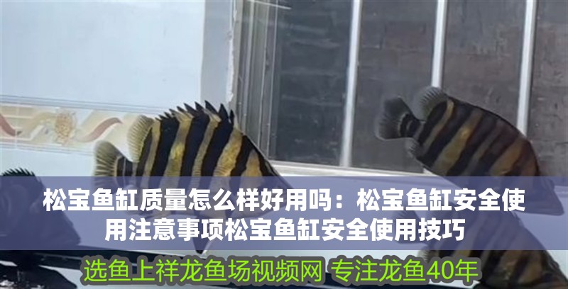 松寶魚缸質(zhì)量怎么樣好用嗎：松寶魚缸安全使用注意事項(xiàng)松寶魚缸安全使用技巧