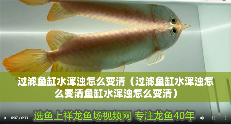 過濾魚缸水渾濁怎么變清（過濾魚缸水渾濁怎么變清魚缸水渾濁怎么變清）