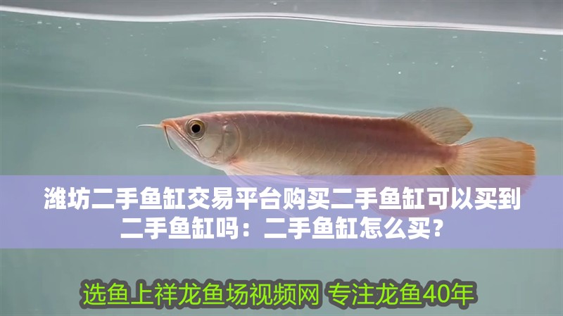 濰坊二手魚缸交易平臺(tái)購(gòu)買二手魚缸可以買到二手魚缸嗎：二手魚缸怎么買？