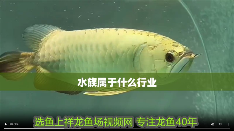 水族屬于什么行業(yè)