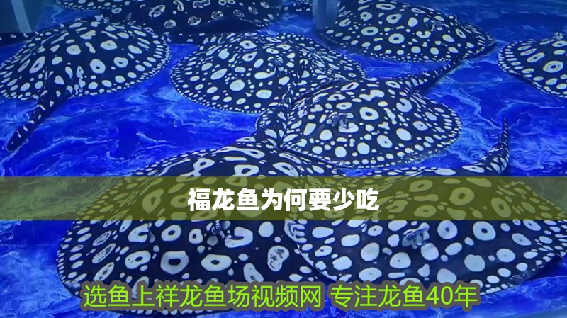 福龍魚為何要少吃