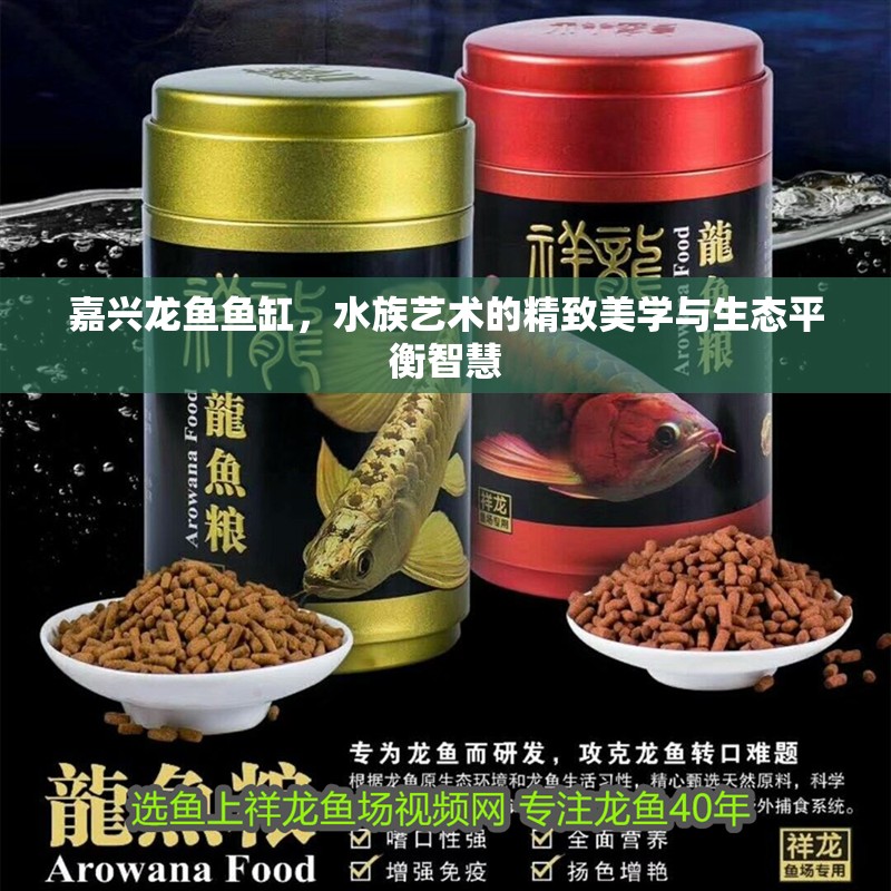 嘉興龍魚魚缸，水族藝術的精致美學與生態平衡智慧