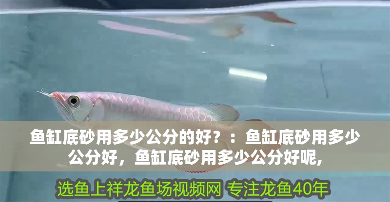 魚缸底砂用多少公分的好？：魚缸底砂用多少公分好，魚缸底砂用多少公分好呢,