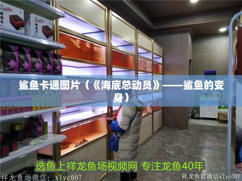 鯊魚卡通圖片（《海底總動員》——鯊魚的變身）