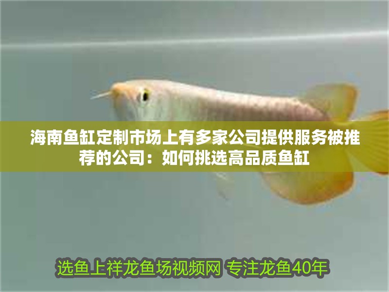 海南魚缸定制市場上有多家公司提供服務被推薦的公司：如何挑選高品質魚缸