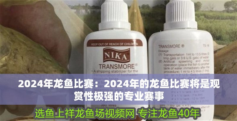 2024年龍魚比賽：2024年的龍魚比賽將是觀賞性極強的專業(yè)賽事