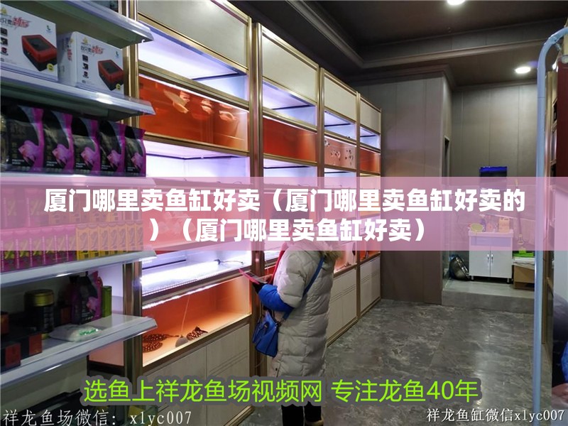 廈門哪里賣魚缸好賣（廈門哪里賣魚缸好賣的）（廈門哪里賣魚缸好賣）