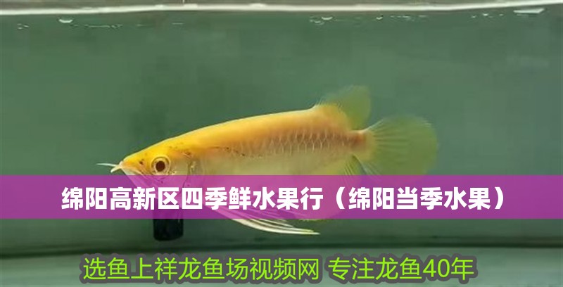 綿陽高新區四季鮮水果行（綿陽當季水果）