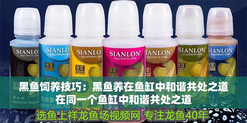 黑魚飼養(yǎng)技巧：黑魚養(yǎng)在魚缸中和諧共處之道在同一個(gè)魚缸中和諧共處之道