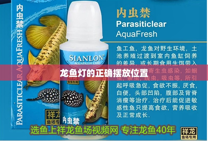 龍魚燈的正確擺放位置