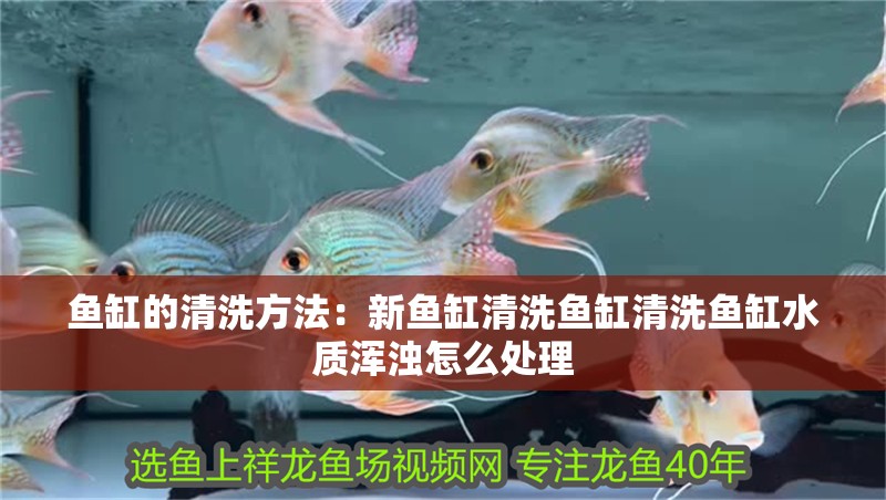 魚缸的清洗方法：新魚缸清洗魚缸清洗魚缸水質渾濁怎么處理