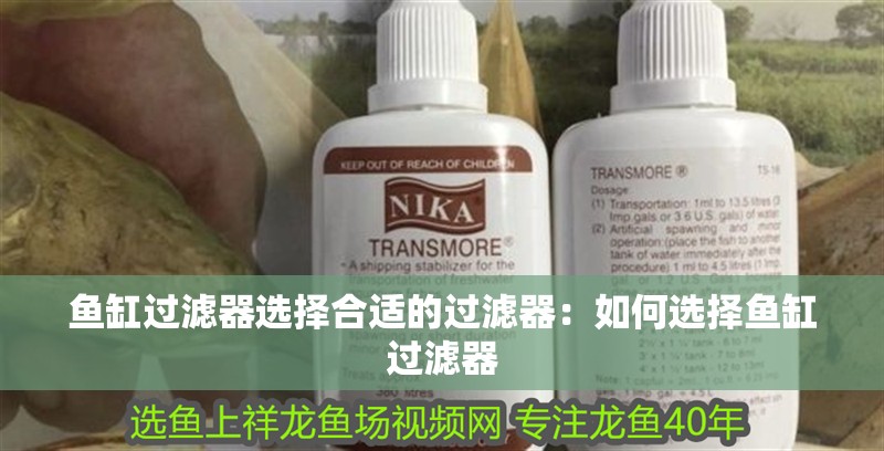 魚缸過濾器選擇合適的過濾器：如何選擇魚缸過濾器