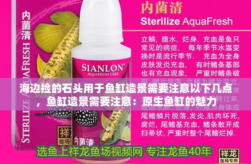 海邊撿的石頭用于魚缸造景需要注意以下幾點，魚缸造景需要注意：原生魚缸的魅力