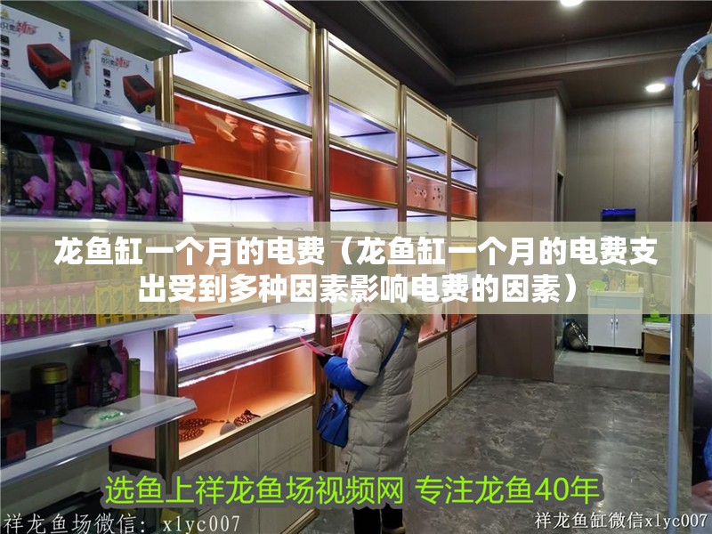 龍魚缸一個月的電費（龍魚缸一個月的電費支出受到多種因素影響電費的因素）