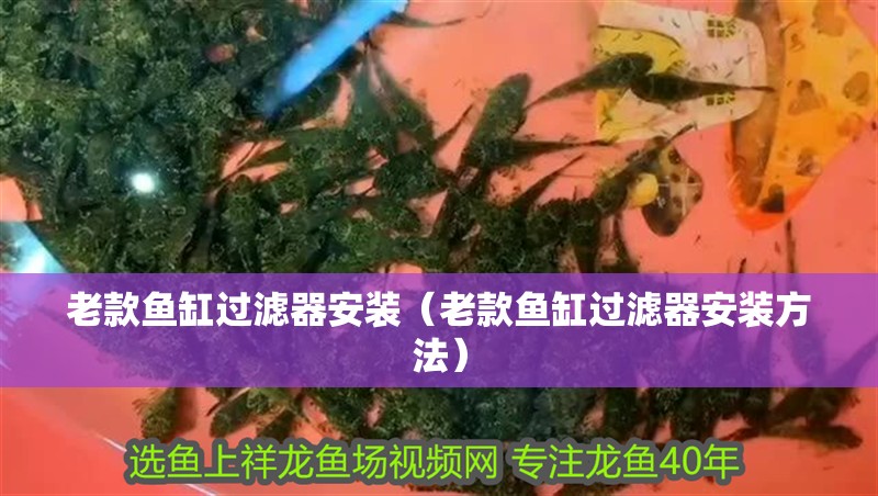 老款魚缸過濾器安裝（老款魚缸過濾器安裝方法）