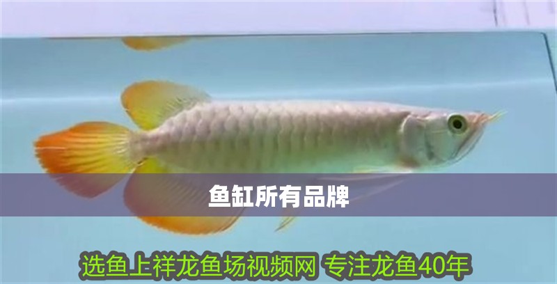 魚缸所有品牌