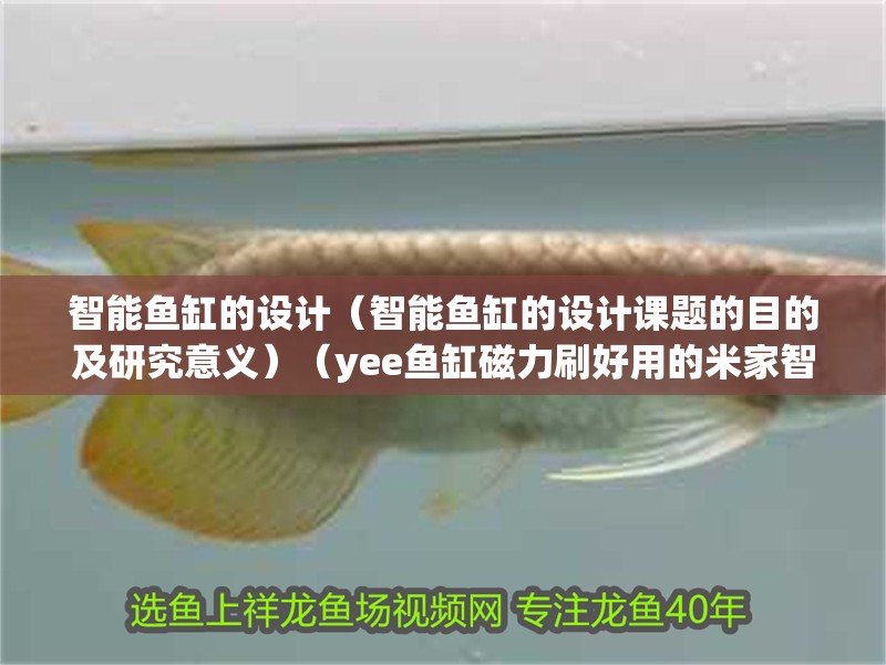 智能魚缸的設計（智能魚缸的設計課題的目的及研究意義）（yee魚缸磁力刷好用的米家智能魚缸哪個牌子好）