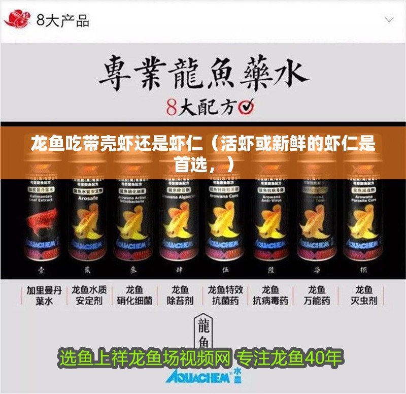 龍魚吃帶殼蝦還是蝦仁（活蝦或新鮮的蝦仁是首選，）