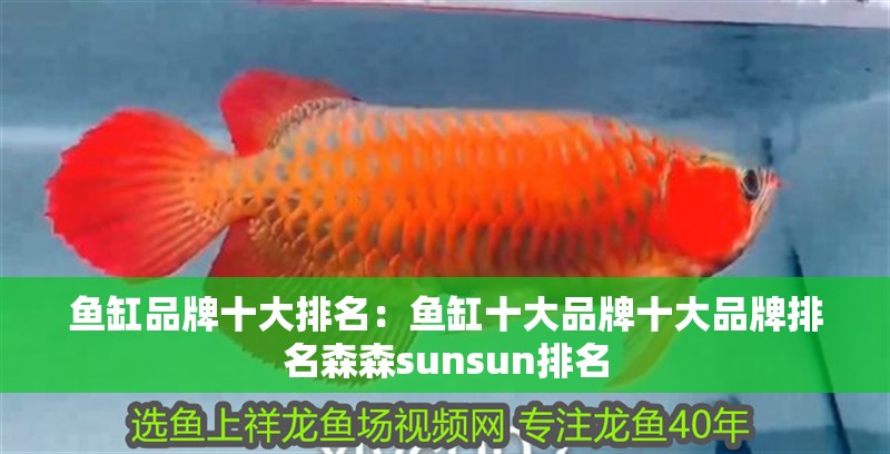 魚缸品牌十大排名：魚缸十大品牌十大品牌排名森森sunsun排名