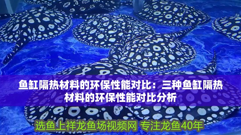 魚缸隔熱材料的環(huán)保性能對比：三種魚缸隔熱材料的環(huán)保性能對比分析
