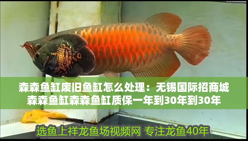 森森魚缸廢舊魚缸怎么處理：無錫國際招商城森森魚缸森森魚缸質保一年到30年到30年