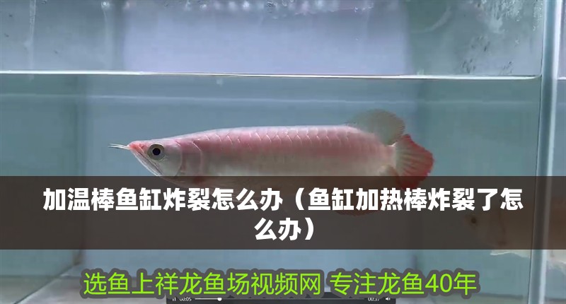 魚缸用增氧泵價格是多少:魚缸增氧機-xtrac增氧機-xtrac增氧機 加溫棒魚缸炸裂怎么辦(魚缸加熱棒炸裂了怎么辦) 魚缸百科 加溫棒魚缸炸裂怎么辦(魚缸加熱棒炸裂了怎么辦) 加溫棒魚缸炸裂怎么辦(魚缸加熱棒炸裂了怎么辦) 魚缸百科