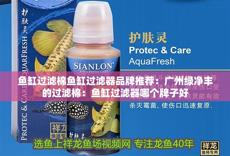 魚缸過濾棉魚缸過濾器品牌推薦：廣州綠凈豐的過濾棉：魚缸過濾器哪個牌子好 魚缸過濾棉魚缸過濾器品牌推薦：廣州綠凈豐的過濾棉：魚缸過濾器哪個牌子好 魚缸百科