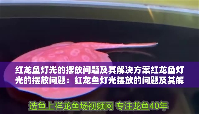紅龍魚燈光的擺放問題及其解決方案紅龍魚燈光的擺放問題：紅龍魚燈光擺放的問題及其解決方案紅龍魚燈光的擺放問題