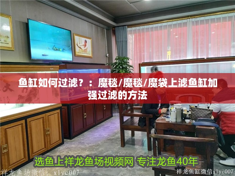 魚缸如何過濾？：魔毯/魔毯/魔袋上濾魚缸加強過濾的方法 魚缸如何過濾？：魔毯/魔毯/魔袋上濾魚缸加強過濾的方法 魚缸百科