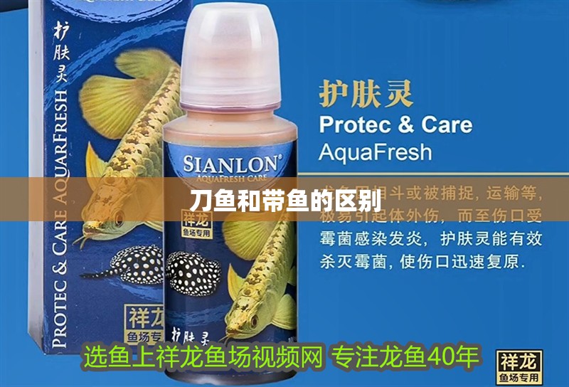 刀魚和帶魚的區別