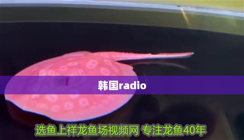 韓國radio