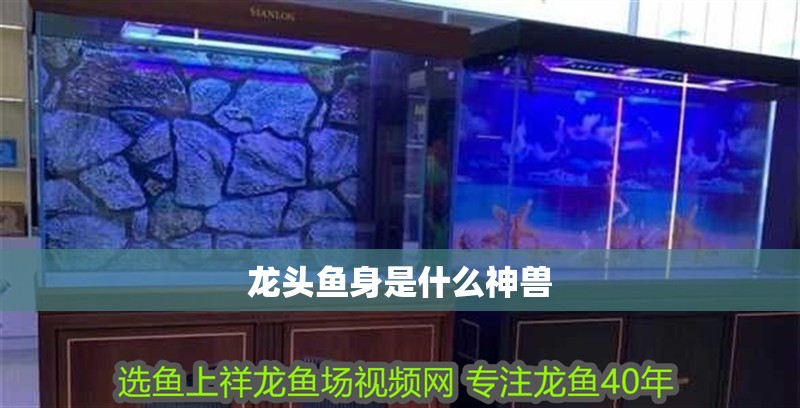 龍頭魚身是什么神獸