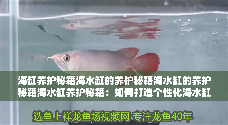 海缸養護秘籍海水缸的養護秘籍海水缸的養護秘籍海水缸養護秘籍：如何打造個性化海水缸？